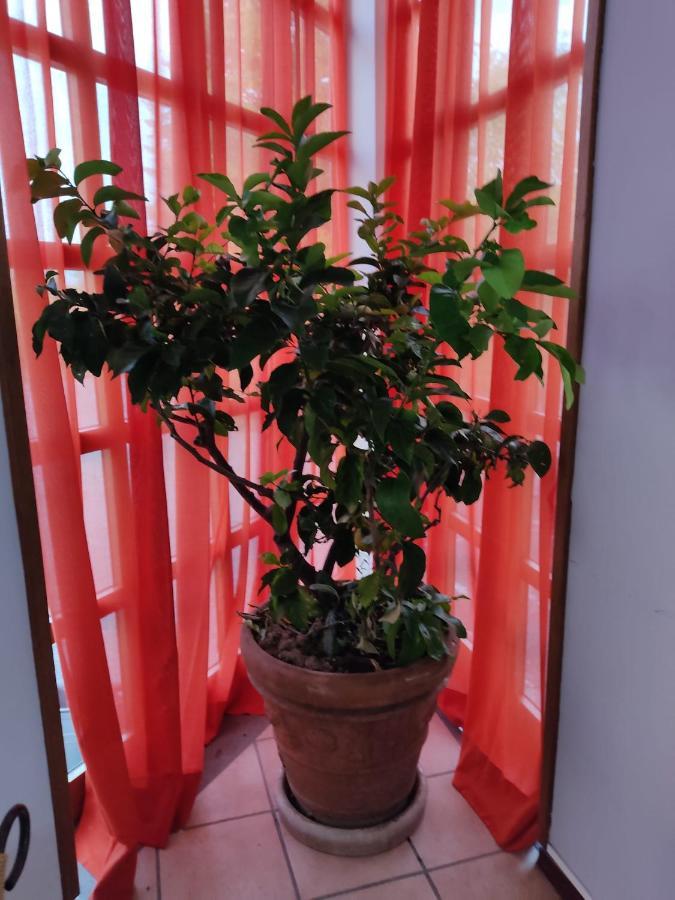Hotel La Vela Castelnuovo Rangone Esterno foto
